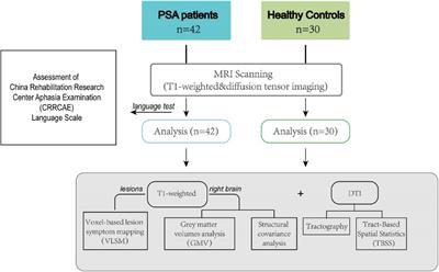Lesion Distribution and Early Changes of Right Hemisphere in Chinese Patients With Post-stroke Aphasia